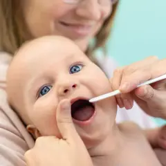 Niemowlę z szeroko otwartymi ustami, któremu lekarz bada wędzidełko.