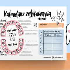 Kalendarz ząbkowania pokazuje, ile jest zębów mlecznych i kiedy wyrastają. Na grafice widać uśmiechnięte ząbki.